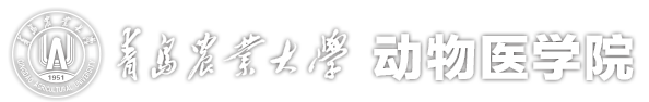 bevictor1946韦德官网