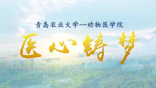 bevictor1946韦德官网宣传片