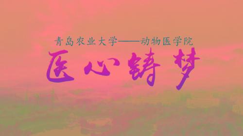 医心铸梦--2018年bevictor1946韦德官网教学科研宣传片